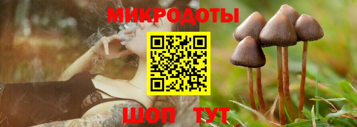 Галлюциногенные грибы Psilocybine cubensis Сибай